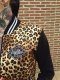 Liquor Brand LEO TAN Women Jackets